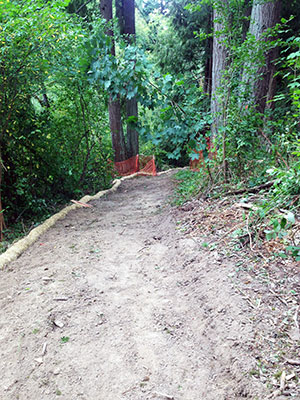 Trail construction